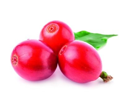 PG-72-a-73-Foto-01-A