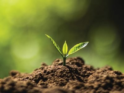 PG 72 a 73 - Foto 01 (Pequeno)