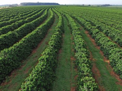 PG 80 a 81 - Foto 01 (Pequeno)