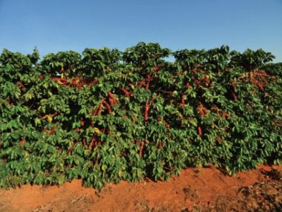 PG-82-a-83-Foto-02-Telefone