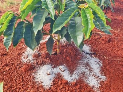 Fotos: Luís Eduardo Zanardo