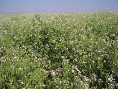 PG-94-a-96-Foto-04-Telefone