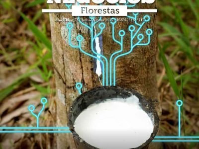 Páginas de Florestas Jul Ago 2025 EMAIL