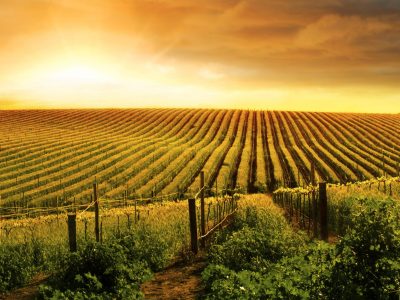 Paisagem - Crédito Shutterstock