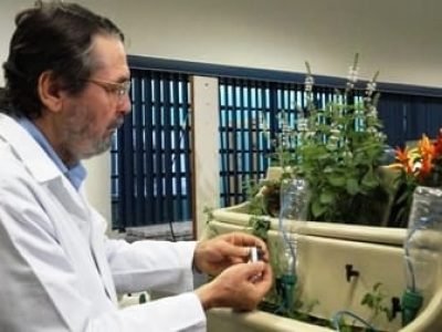 Pesquisador Adonai Gimenez Calbo -  Crédito Embrapa Instrumentação