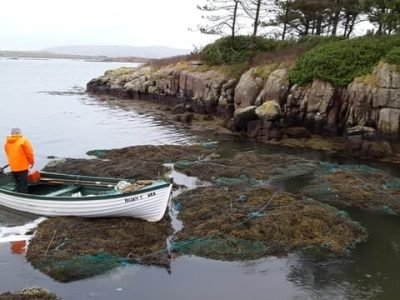 Phylgreen, algas são colhidas artesanalmente no mar da Irlanda para fabricação do produto