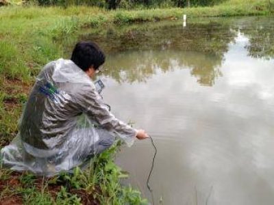 Piscicultura01_por_Tarcila_Silva