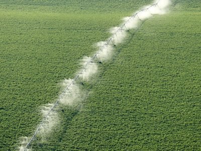 Pivô - Crédito Shutterstock