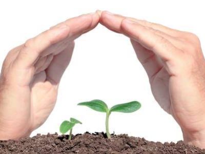 Planta-01-Crédito-Shutterstock-11.14-04-17