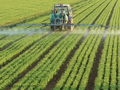 Créditos Shutterstock