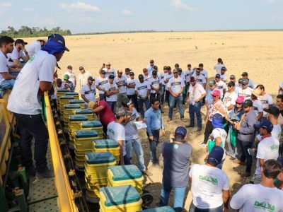 Curso de Plantabilidade - Foto: Divulgação