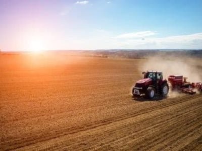 Plantio-07-Crédito-shutterstock_280461665-11-2018-1