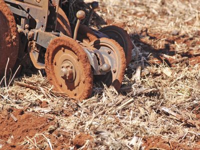 Plantio - Crédito: Luize Hess