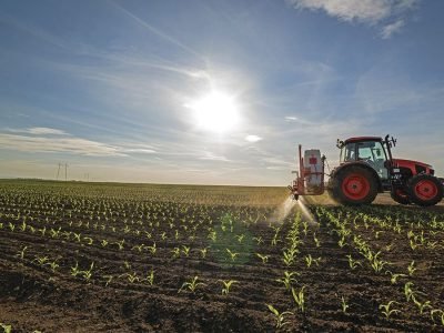 Plantio - Crédito Shutterstock