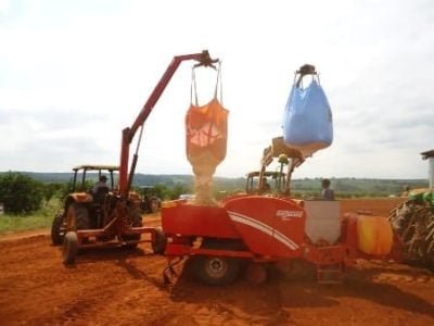 Plantio de Batata na região de Vargem Grande do Sul-SP em pleno vigor - Crédito José Henrique Dotta
