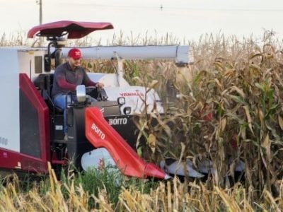 Plataforma-de-milho-YANMAR--1- (Telefone)