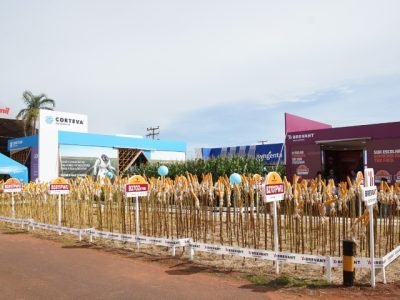 Plot-Agricola-1 (Pequeno)