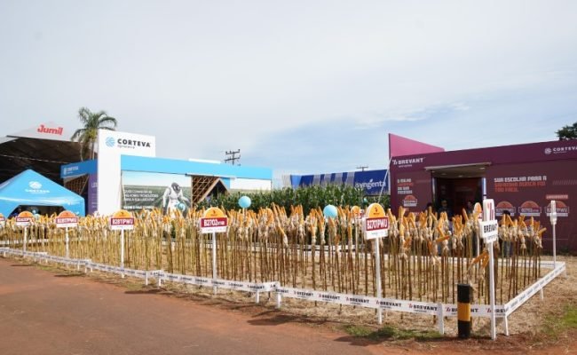 Plot-Agricola-1 (Pequeno)