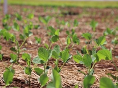 Plots
Tecnoshow 2026