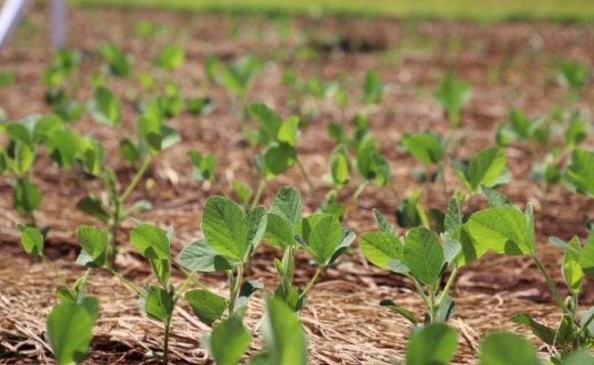 Plots
Tecnoshow 2026