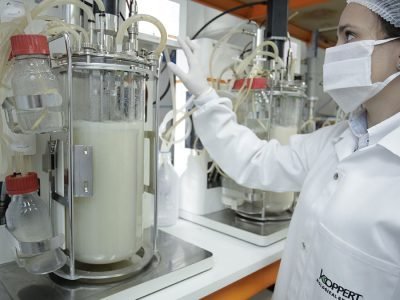 Preparação - Foto: Divulgação