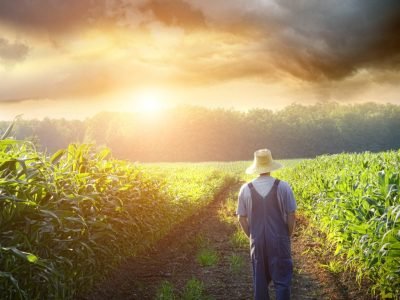 Produtor-01-Crédito-Shutterstock-1024x909