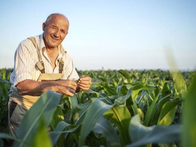 Produtor - Foto: freepik