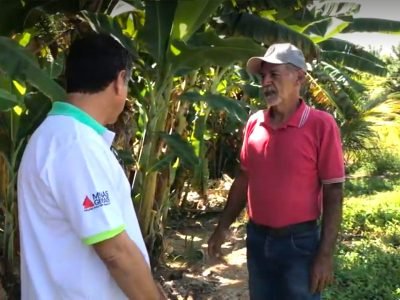 Produtor Bom Despacho