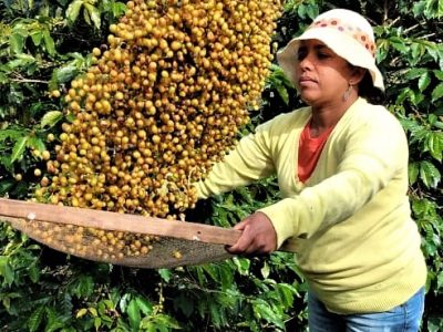 Produtora-de-café-Luciene