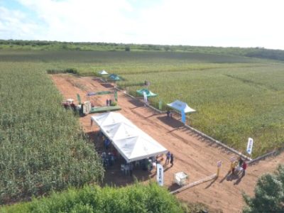 Programa Prospera 15 mil agricultores familiares capacitados (Telefone)