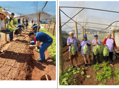 Participantes do Projeto Ceres da Universidade Brasil durante plantio e colheita