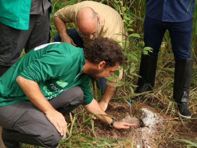Projeto Restauração Ecológica (Pequeno)