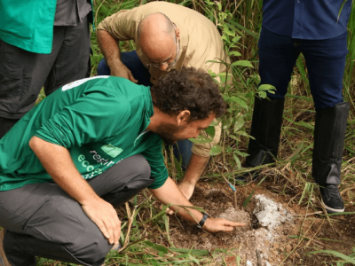 Projeto Restauração Ecológica (Pequeno)