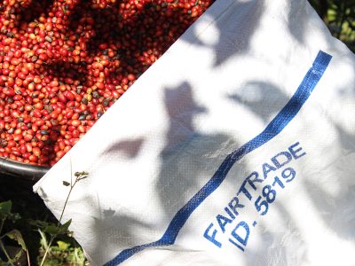 Propriedade Cafesul - Muqui (ES) ok