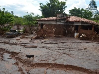 Propriedades rurais na comunidade de Camargos, em Mariana, atingidas pela barragem