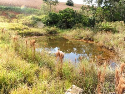 Proteção de nascentes melhora qualidade da água em município da região Central de Minas Gerais