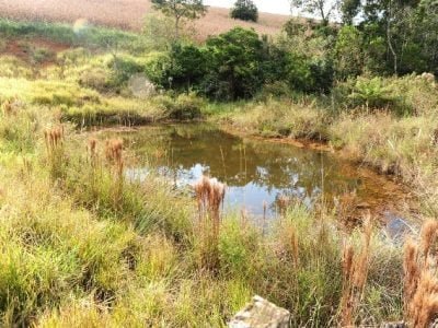 Proteção de nascentes melhora qualidade da água em município da região Central de Minas Gerais