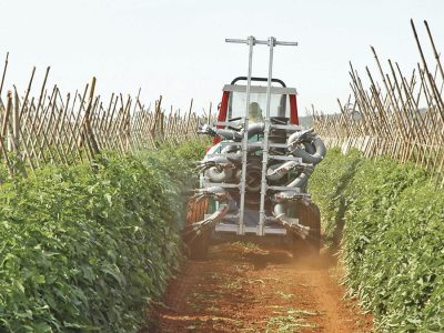 Pulverização - Crédito: Luize Hess