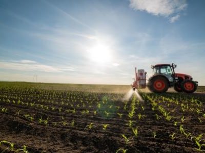 Tractor spraying young corn with pesticides