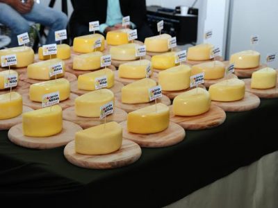 Queijo Minas Artesanal -  foto Alexandre Souza / ilustrativa