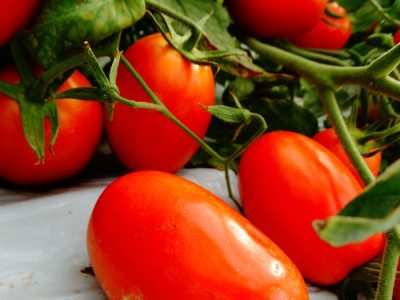 Tomate - Crédito: Daiane Trento