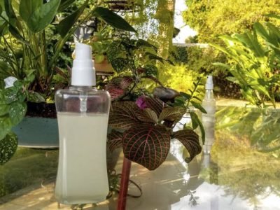 Repelente - Foto: Arquivo