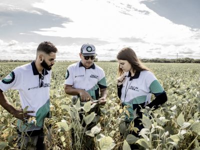 Mato Grosso recebe técnicos do Rally da Safra para avaliar lavouras