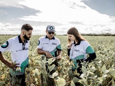 Mato Grosso recebe técnicos do Rally da Safra para avaliar lavouras