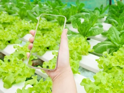 Rastreabilidade - Crédito: Shutterstock