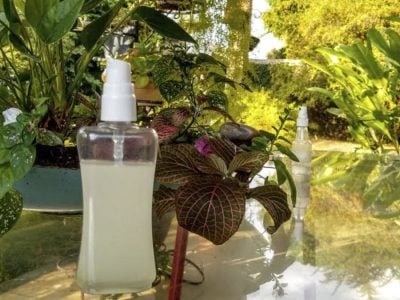 Repelente - Crédito: Divulgação