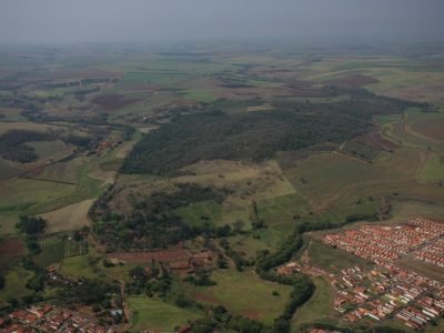 Reserva Florestal como reserva legal