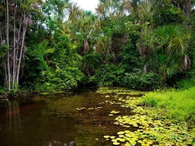 Reserva - Foto: Divulgação