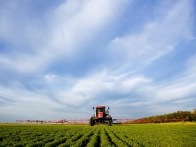 Crédito Shutterstock