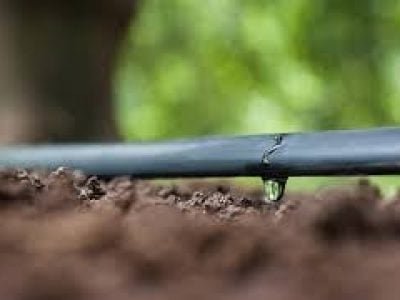 Rivulis leva tecnologia de irrigação à SIC 2019